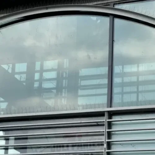 Photo de pics anti pigeon posé sur la devanture d'un magasin.