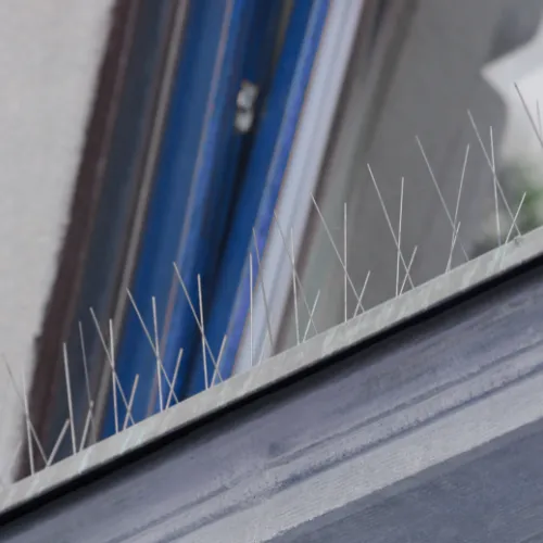 Photo de pics anti pigeons sur le rebord d'une fenêtre.