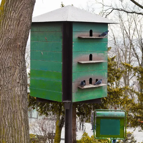 Photo d'un pigeonnier contraceptif pour réguler la population de pigeons en ville.