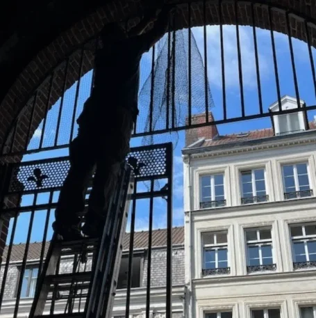 Photo d'un technicien en dépigeonnage réalisant la pose d'un filet anti pigeon sur un bâtiment historique.