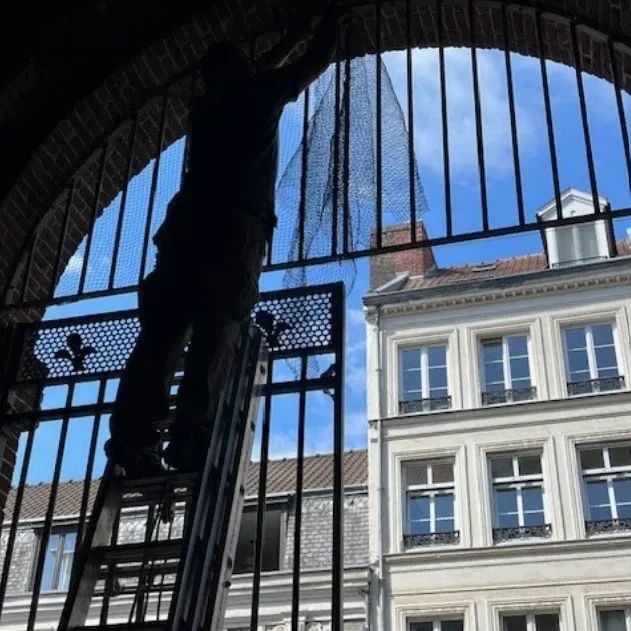 Installation d'un filet anti pigeon sur un bâtiment historique lors d'un traitement de dépigeonnage dans les Hauts-de-France.