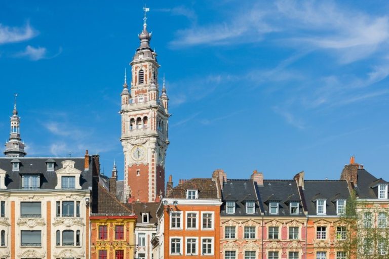 Photo de la ville de Lille pour mettre en avant le dépigeonnage à Lille et dans les Hauts de France.