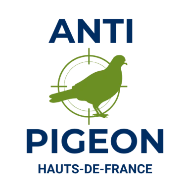 Logo anti pigeon Hauts-de-France, entreprise spécialisée dans le dépigeonnage et la lutte contre les volatiles.